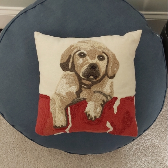 Pottery Barn Other - Pup pillow, needlework front, plain back, ~11.5" square. Dog-friendly home